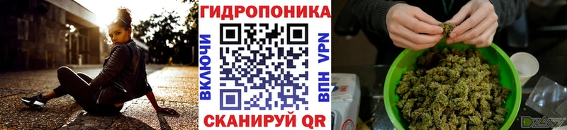Купить закладку Кингисепп СК  Меф  АМФ  Кокаин 