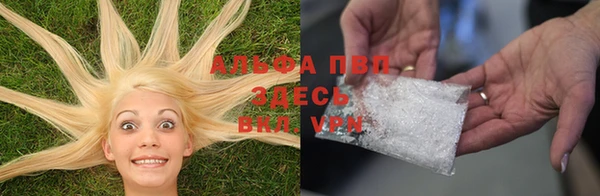 амф Инта