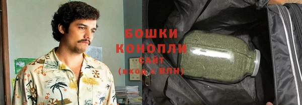 тгк Инсар