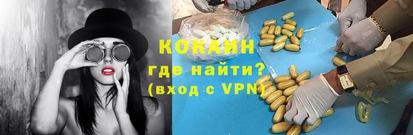 тгк Инсар
