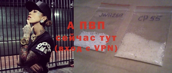 тгк Инсар