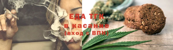 тгк Инсар