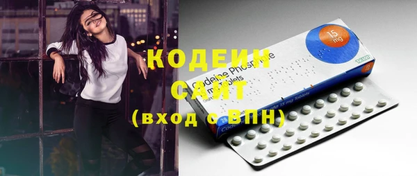 тгк Инсар