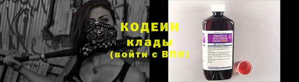 тгк Инсар