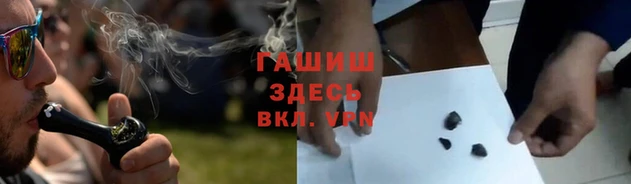 амф Инта