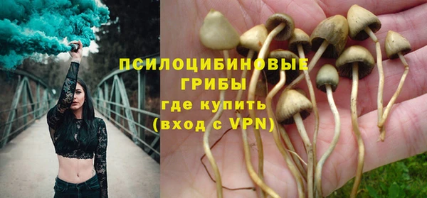 амф Инта