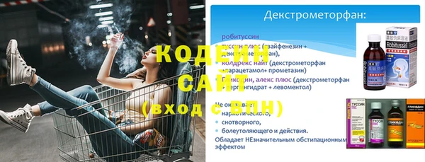 тгк Инсар