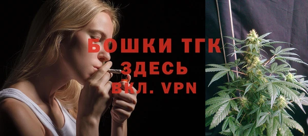 тгк Инсар