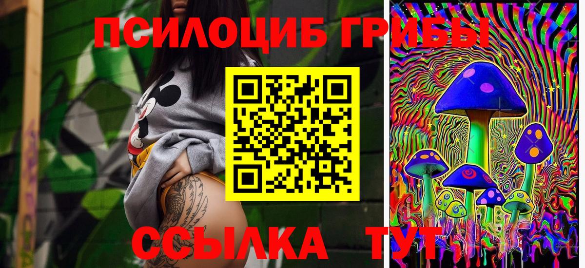 Псилоцибиновые грибы MAGIC MUSHROOMS Кингисепп